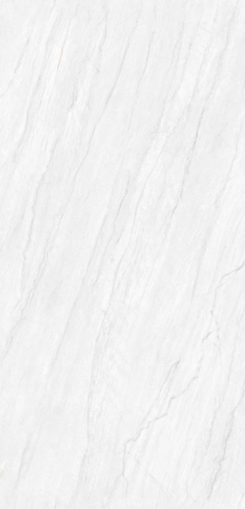 乔戈里白JN24B425D1